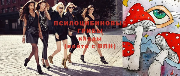 спиды Алексеевка