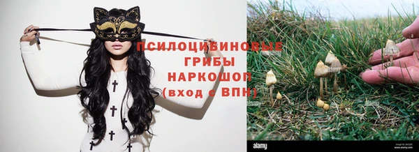 молекула духа Елабуга