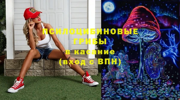 спиды Алексеевка